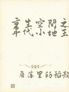 重生空间之九零年代小地主全文阅读