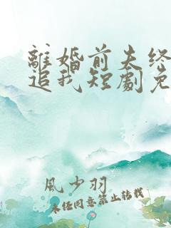 离婚前夫终是想追我短剧免费观看
