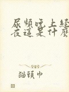 尿频晚上经常起夜这是什么病啊