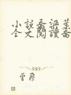 小说乔梁叶心仪全文阅读乔