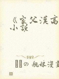 《家父汉高祖》小说
