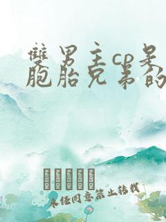 双男主cp是双胞胎兄弟的小说