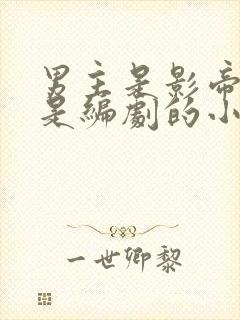 男主是影帝女主是编剧的小说