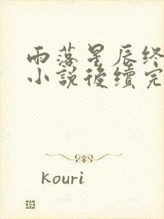 雨落星辰终成空小说后续完整版