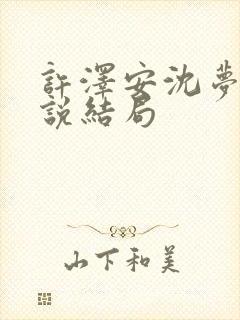 许泽安沈梦兰小说结局