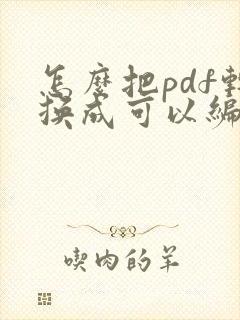 怎么把pdf转换成可以编辑的文本