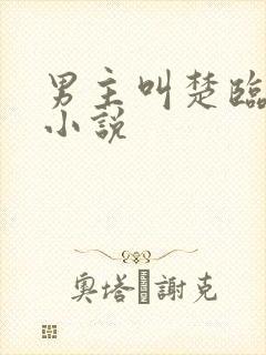 男主叫楚临渊的小说