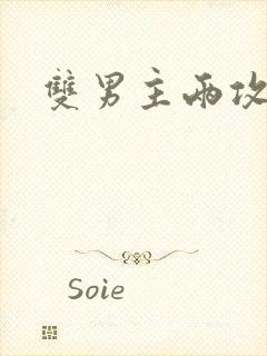 双男主两攻一受