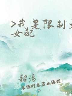 >我是限制文的女配