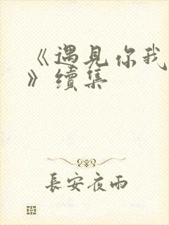 《遇见你我的爱》续集