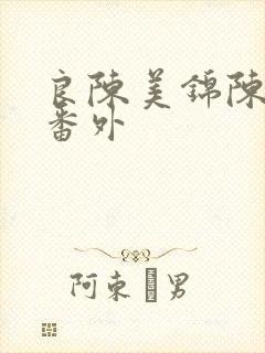 良陈美锦陈玄越番外