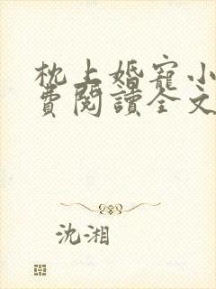 枕上婚宠小说免费阅读全文