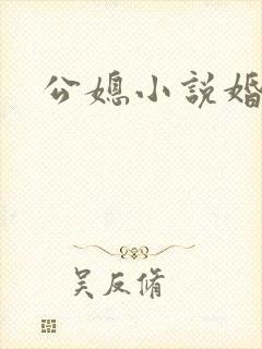 公媳小说婚轨