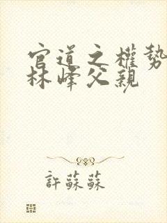 官道之权势滔天林峰父亲