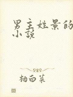 男主姓景的现代小说
