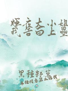 辉夜大小姐想让我告白上垒