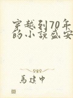 穿越到70年代的小说盛安宁免费阅读