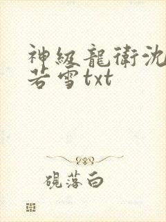 神级龙卫沈浪苏若雪txt