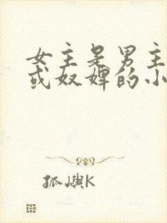 女主是男主丫鬟或奴婢的小说