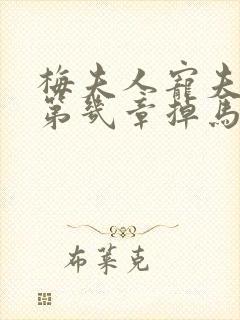 梅夫人宠夫日常第几章掉马