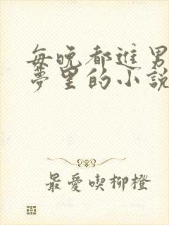 每晚都进男神的梦里的小说