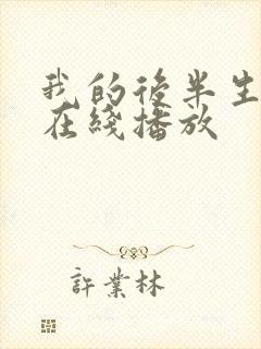 我的后半生免费在线播放