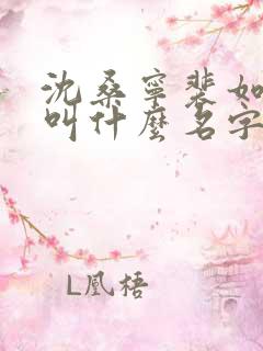 沈桑宁裴如小说叫什么名字