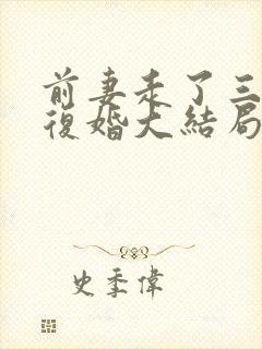 前妻走了三年后复婚大结局