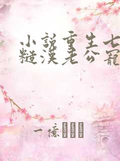 小说重生七零:糙汉老公宠妻成瘾下载