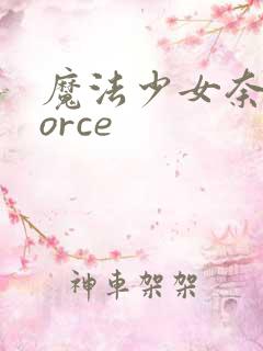 魔法少女奈叶force