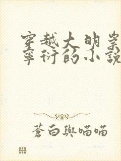 穿越大明崇祯朱宁衍的小说