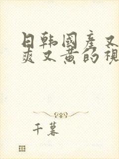 日韩国产又色又爽又黄的视频