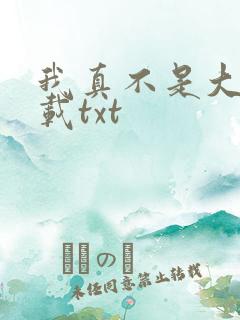我真不是大佬下载txt