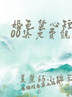 婚色焚心短剧100集免费观看