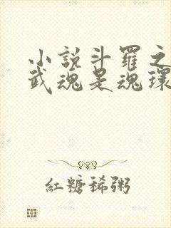 小说斗罗之我的武魂是魂环