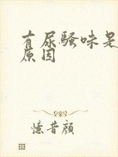 有尿骚味是什么原因