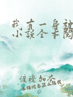 我有一身被动技小说全本阅读