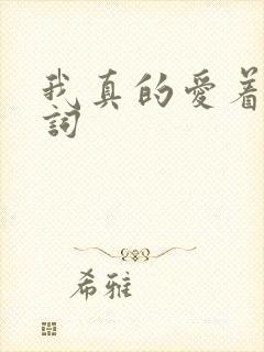 我真的爱着你歌词