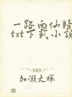一路向仙精校版txt下载小说