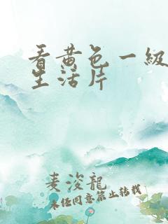 看黄色一级夫妻生活片