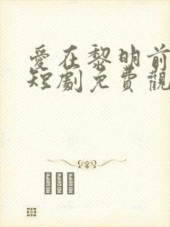 爱在黎明前升起短剧免费观看完整版