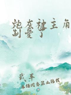 炮灰被主角们强制爱了