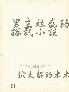 男主姓盛的霸道总裁小说