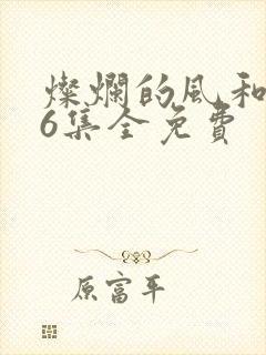 灿烂的风和海36集全免费