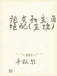 炮灰和主角才是绝配(主攻)