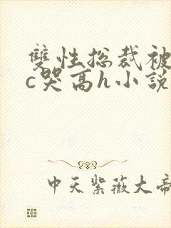 双性总裁被警察c哭高h小说