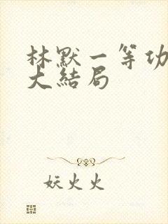 林默一等功小说大结局