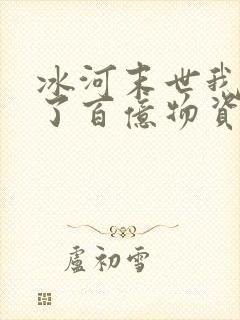 冰河末世我囤积了百亿物资 无风风月