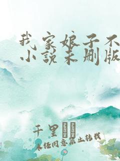 我家娘子不对劲小说未删版完整