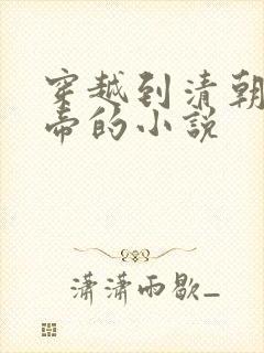 穿越到清朝当皇帝的小说